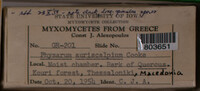 Image Associated With the Occurence